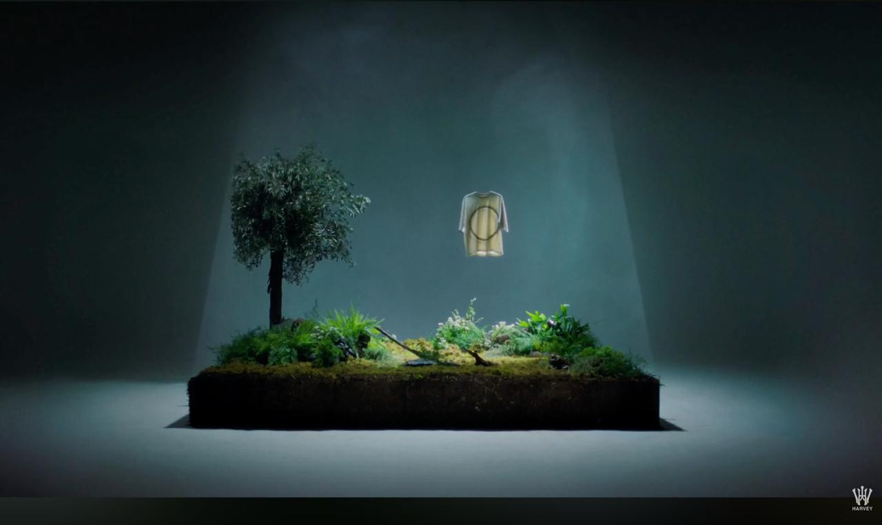 SUNSETSTRIP x Harvey Willys